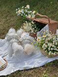 Load image into Gallery viewer, Oatleaf Blooming Ops
