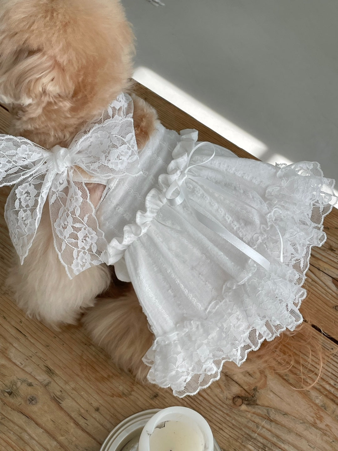 Spring Time Scarf Dress
