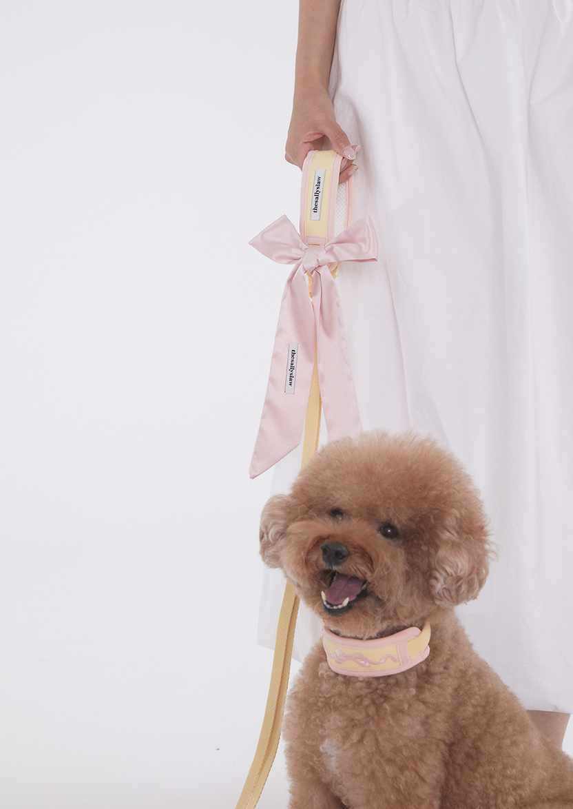 Vanilla Pink Cushioning Two Way Leash