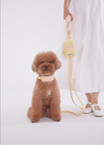 Load image into Gallery viewer, Vanilla Pink Cushioning Two Way Leash
