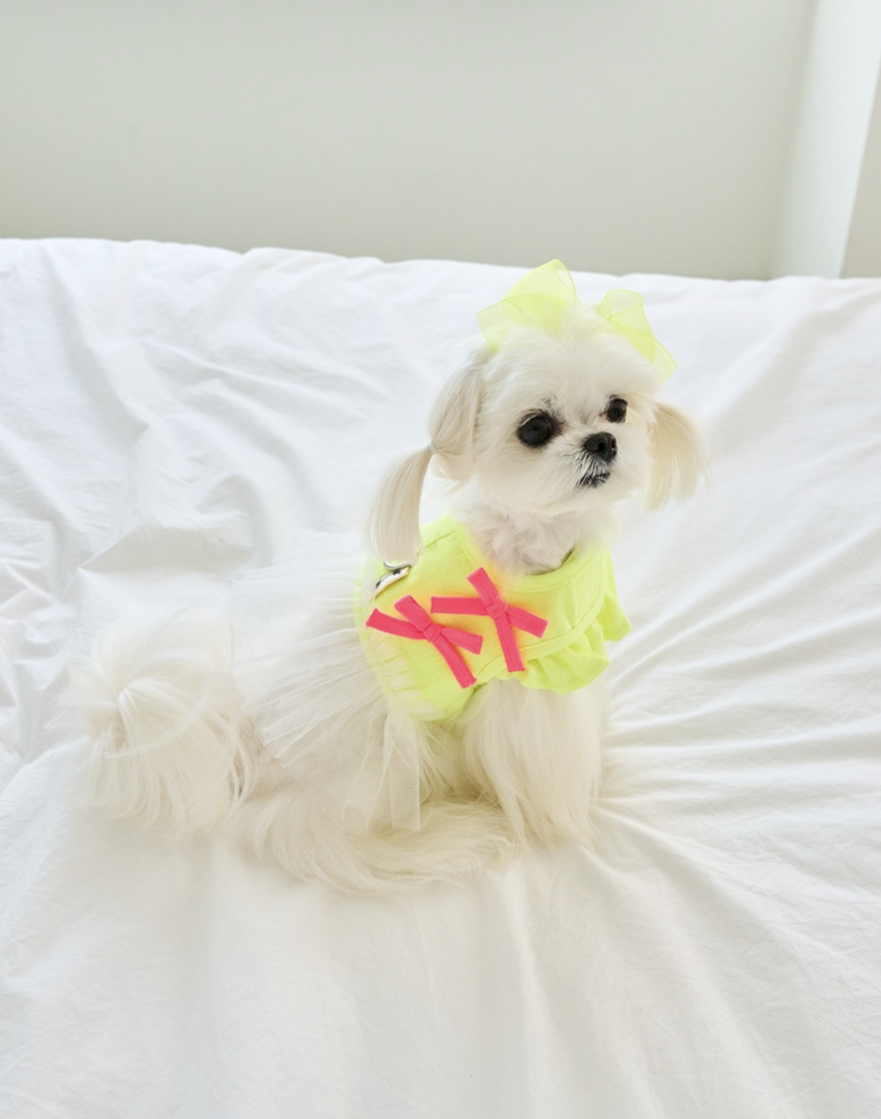 Ribbon Tutu Ice Pack Harness