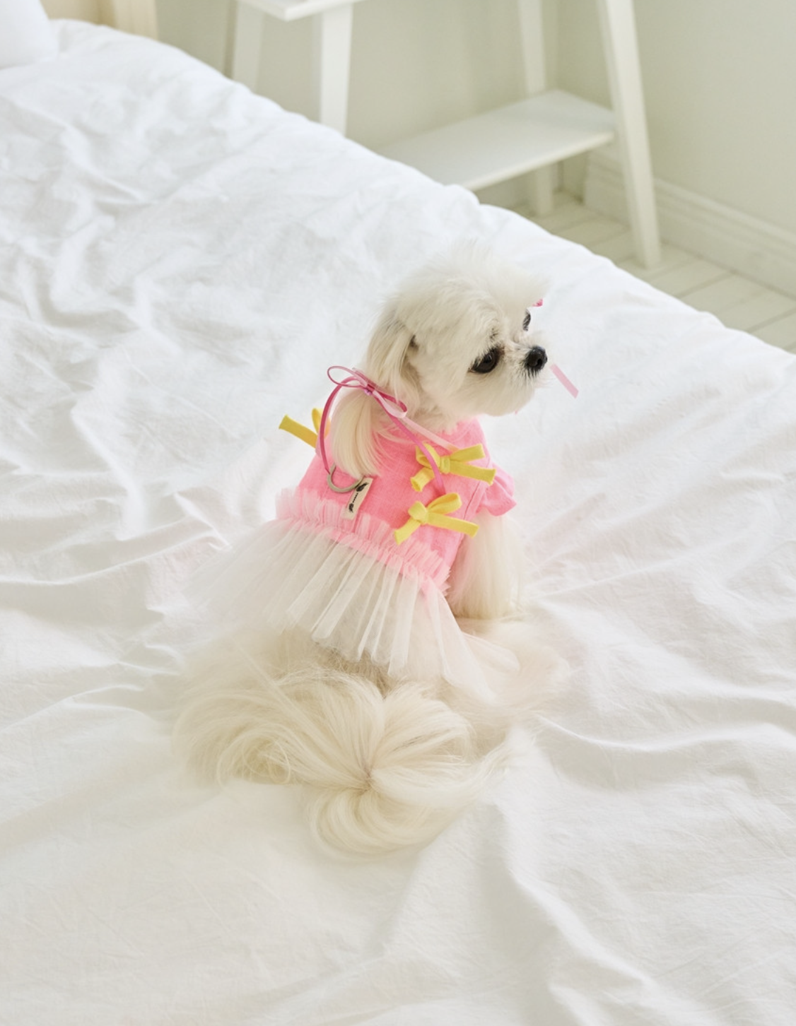 Ribbon Tutu Ice Pack Harness