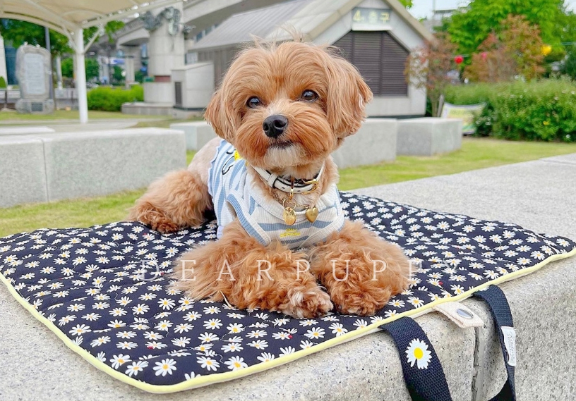 Cool Walking Mat