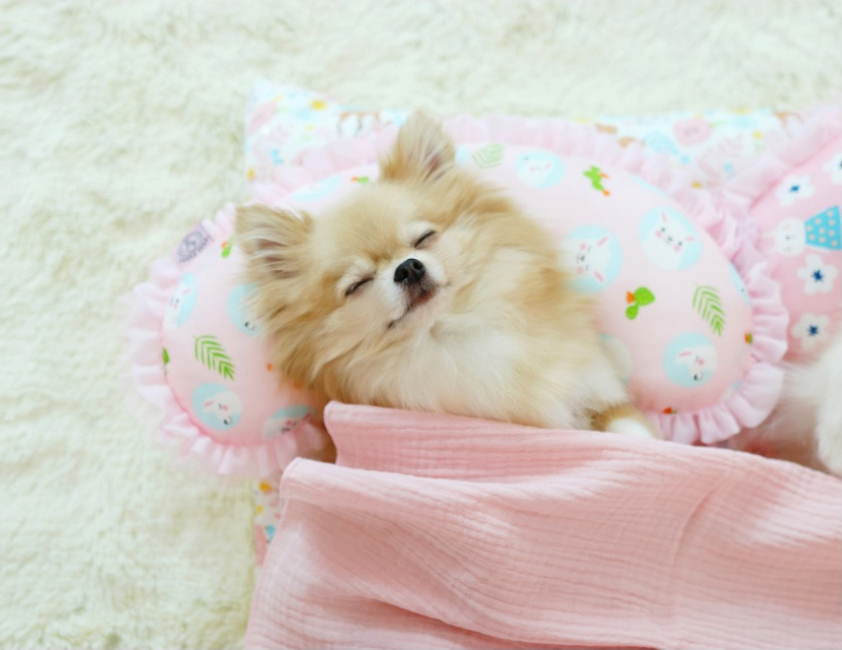 Summer Dog Pillow (Half-moon Shaped)