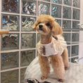 Load image into Gallery viewer, Bunny Harness
