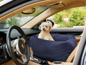Viewing Car Seat