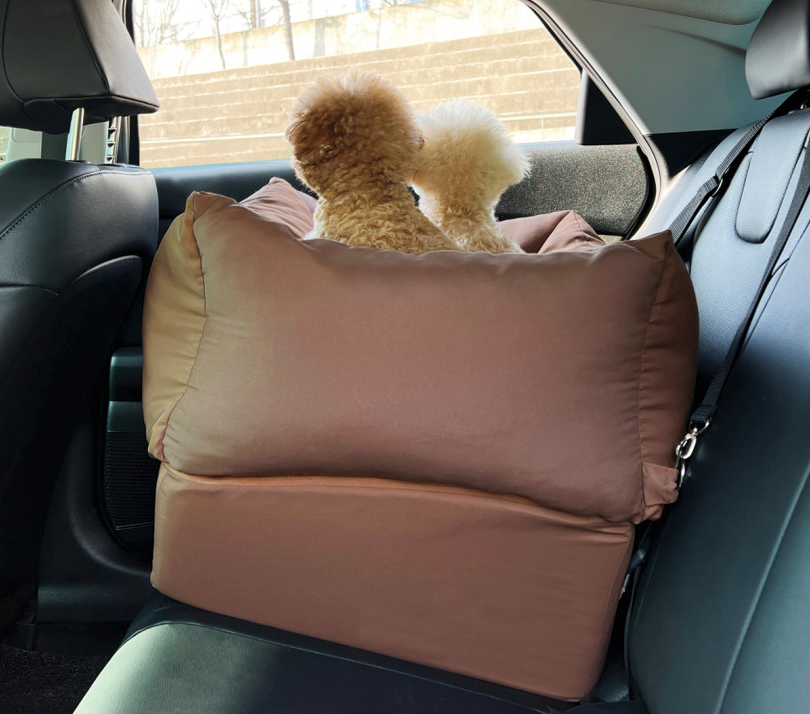 Viewing Car Seat