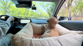 Load image into Gallery viewer, Viewing Car Seat
