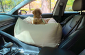 Viewing Car Seat