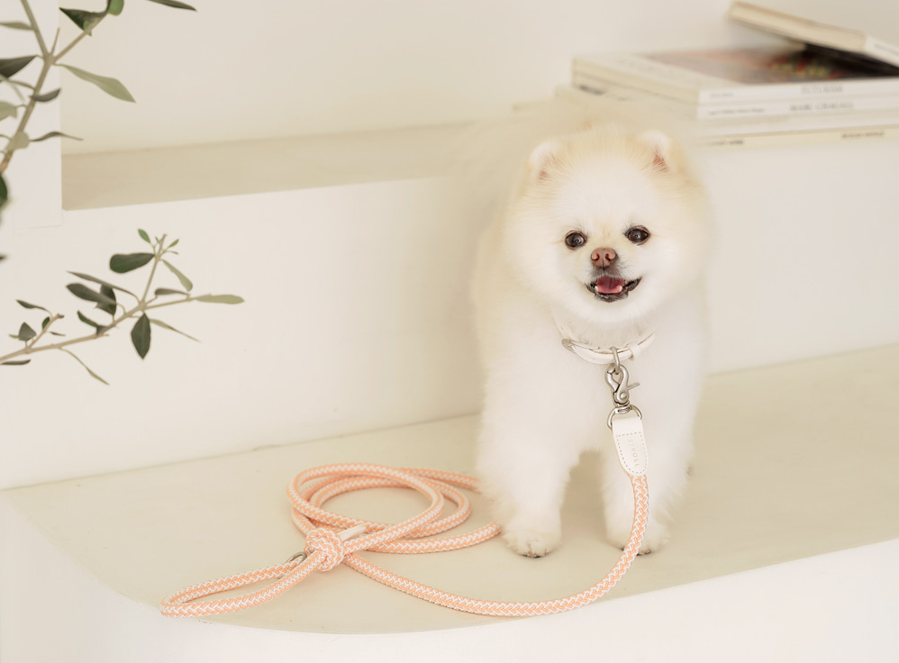 Rope Collar - 13 colors