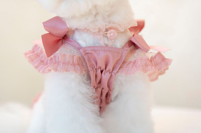Satin Ribbon Bustier
