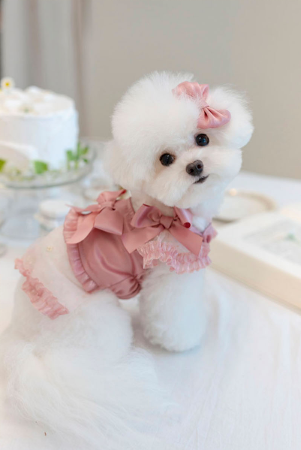 Satin Ribbon Bustier