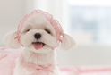 Relevé Hairband