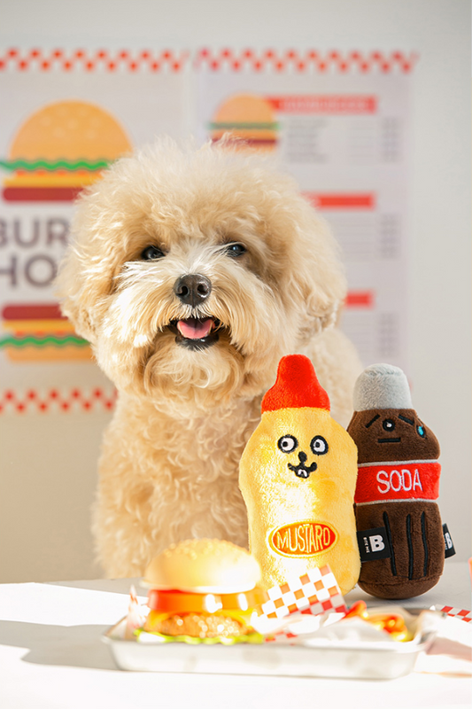 Mustard & Soda Toy