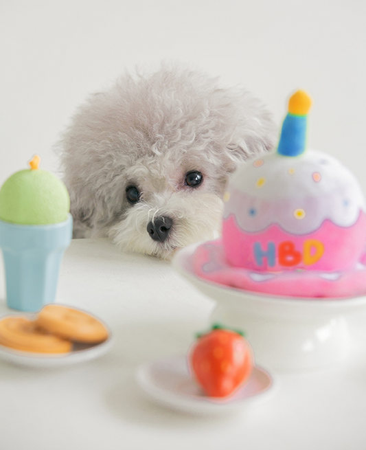 Party Hat Plush Hairband