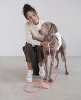 Load image into Gallery viewer, S-rope Dog Leash
