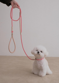 Load image into Gallery viewer, S-rope Dog Leash
