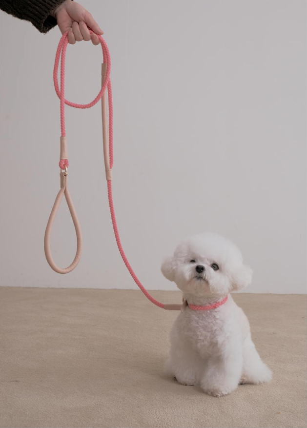 S-rope Dog Leash