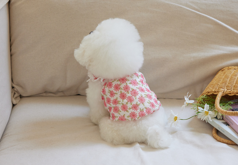 Summer Breeze Top