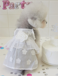 Load image into Gallery viewer, Chiffon Cake Top
