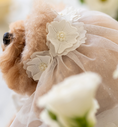 Load image into Gallery viewer, Party Veil
