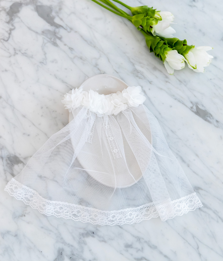 Party Veil