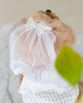 Load image into Gallery viewer, Party Veil
