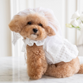 Load image into Gallery viewer, Party Veil
