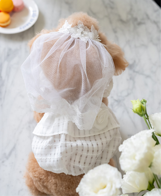 Party Veil