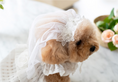 Load image into Gallery viewer, Party Veil
