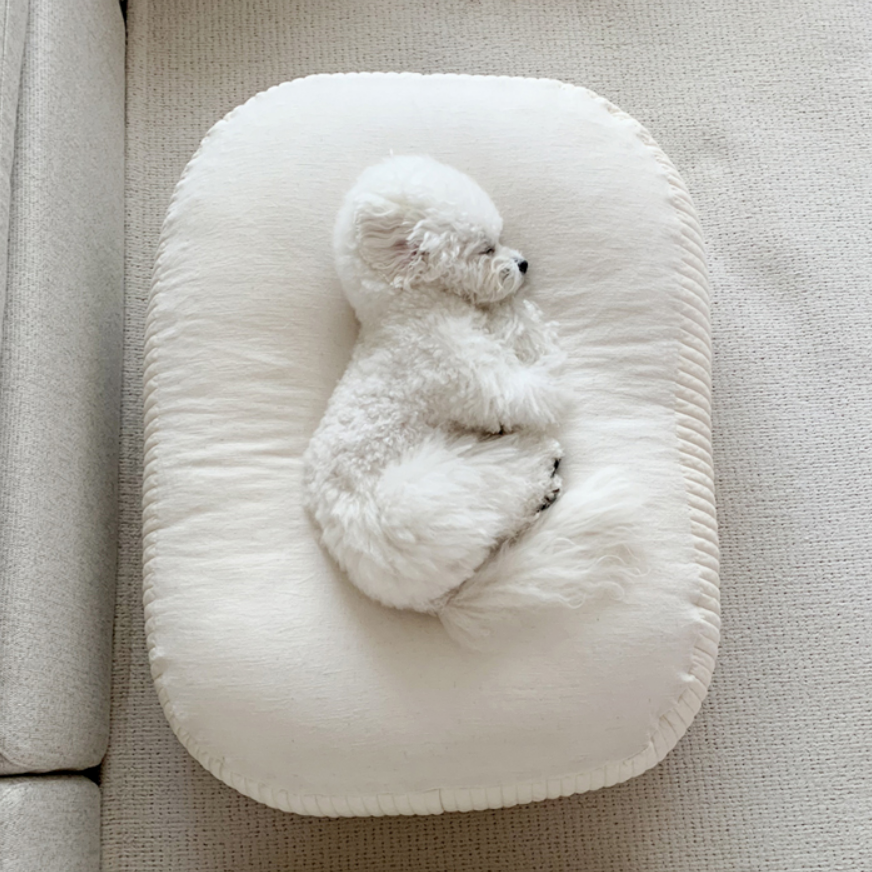 Mochi Bread Cushion