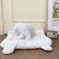 Load image into Gallery viewer, Cozy Bear Cushion
