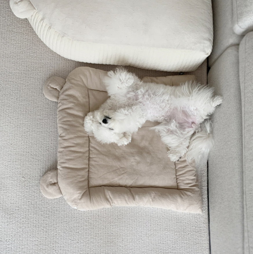 Cozy Bear Cushion