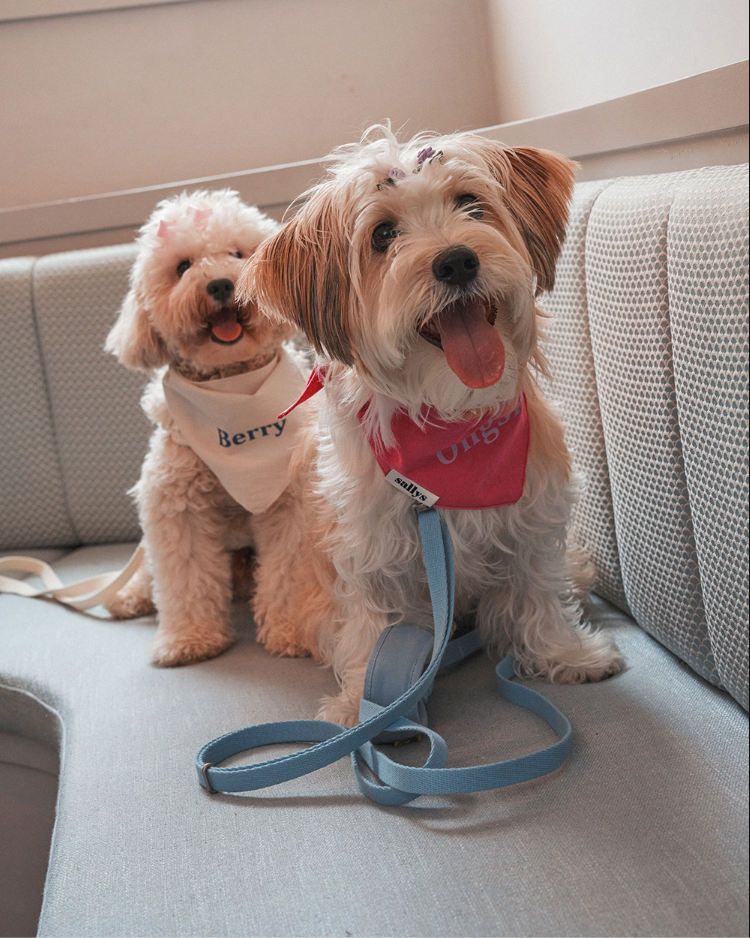 Naming Ribbon Bandana