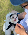 Load image into Gallery viewer, Initial Sun Cap
