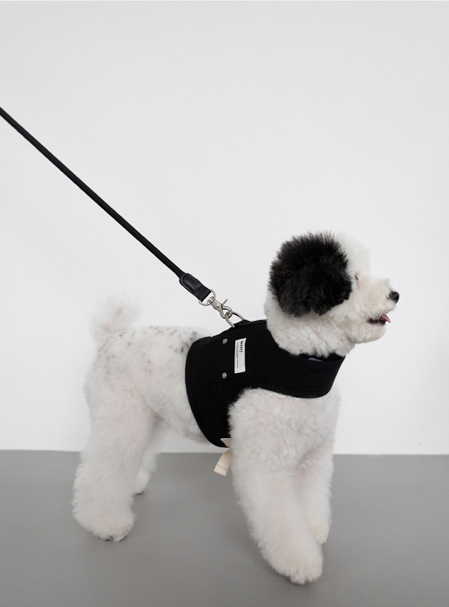 Denim Walk Harness