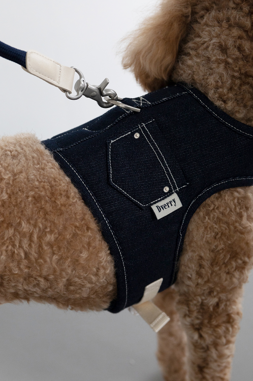 Denim Walk Harness