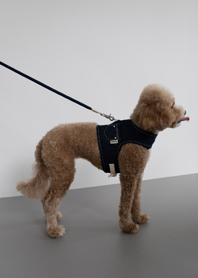 Denim Walk Harness