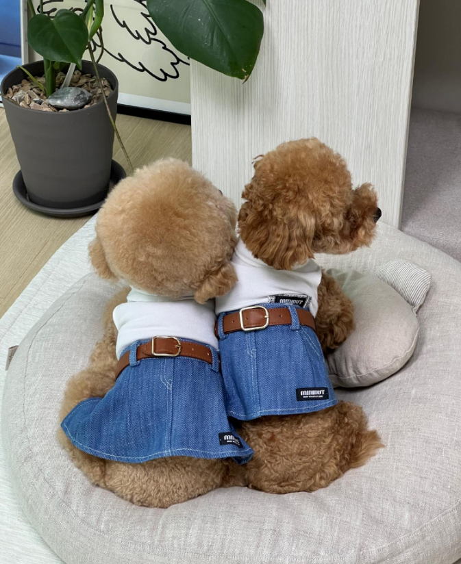 Minimi Denim Skirt