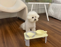 Candy Pet Table