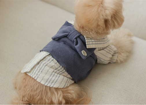 Daisy Stripe Blouse