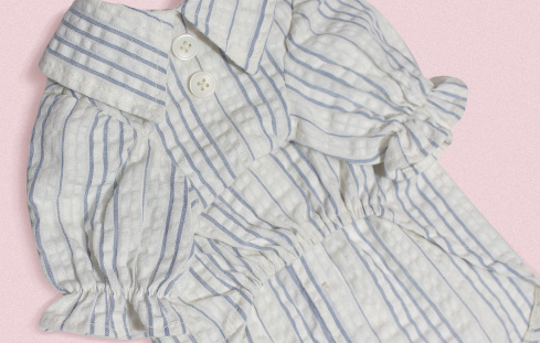 Daisy Stripe Blouse