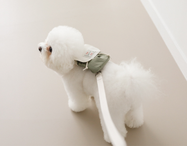 Love, Walk Backpack Harness