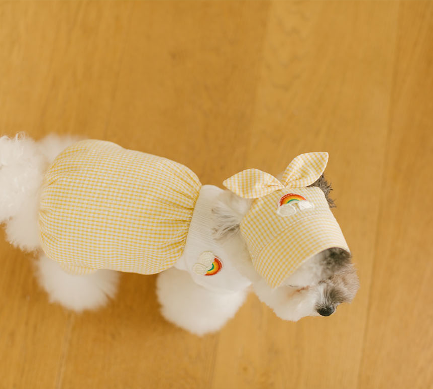 Rainbow Pumpkin Romper