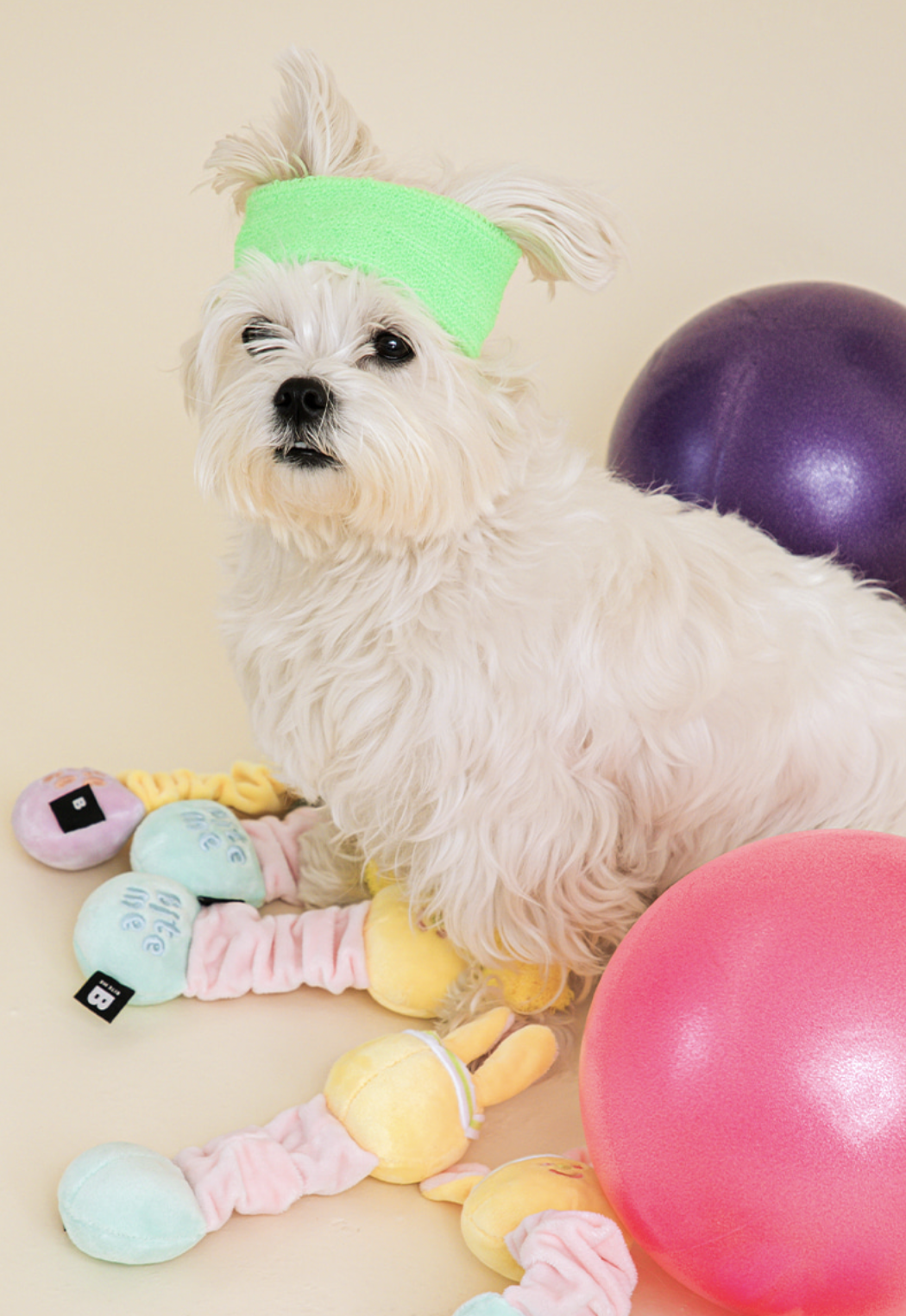 Stretchy Tug Toy