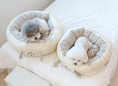 Load image into Gallery viewer, Welcome Puppy Round Bed
