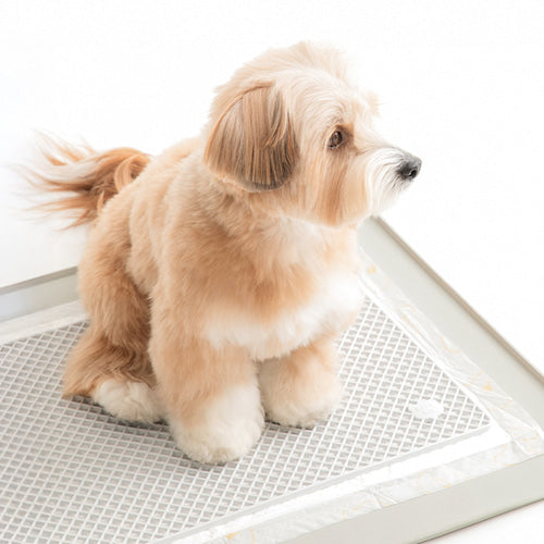 Zero Guard Silicone Mat