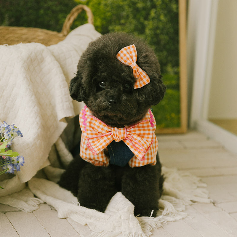 Spring Checkered Blouse