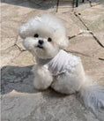 Load image into Gallery viewer, Sienna Silver Crop
