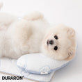 Load image into Gallery viewer, Ice Bear Duraron Cool Pillow

